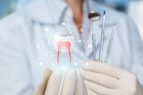 Reliable Leisure Village, NJ Holistic Dental Care Services Solutions